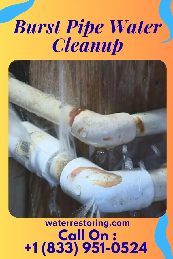 Burst Pipe Water Cleanup in Blakeslee, OH
