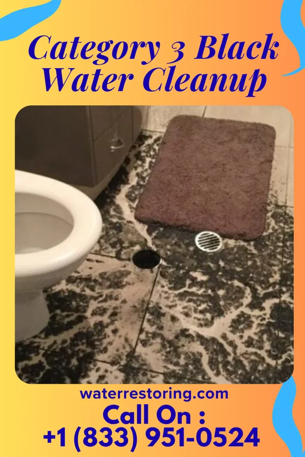 Category 3 Black Water Cleanup in Blakeslee, OH