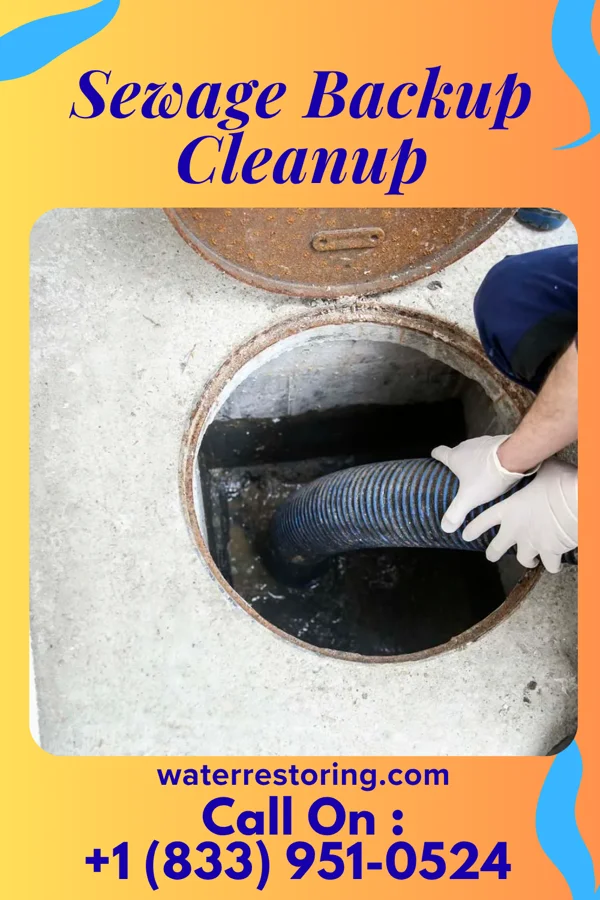 Sewage Backup Cleanup in Blakeslee, OH
